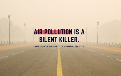 3 Harmful Effects of Air Pollution and How to fight them