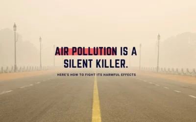 3 Harmful Effects of Air Pollution and How to fight them