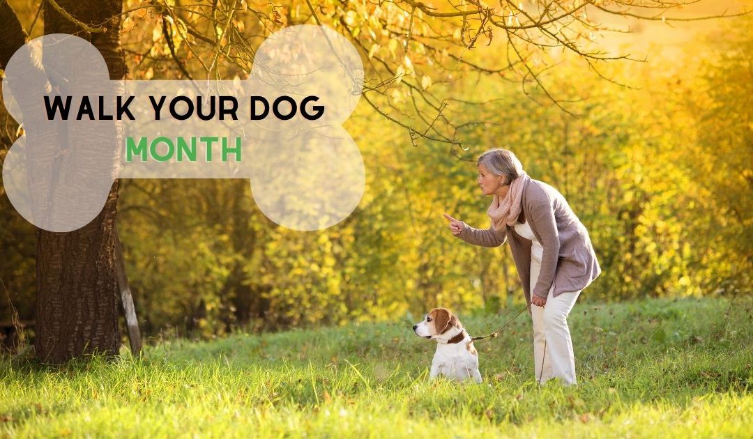 4 Health Benefits of Walking your Dog