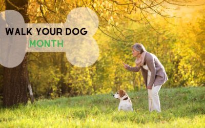 4 Health Benefits of Walking your Dog