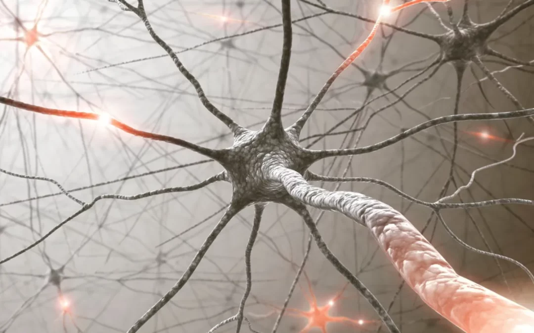 How to Regulate Your Nervous System