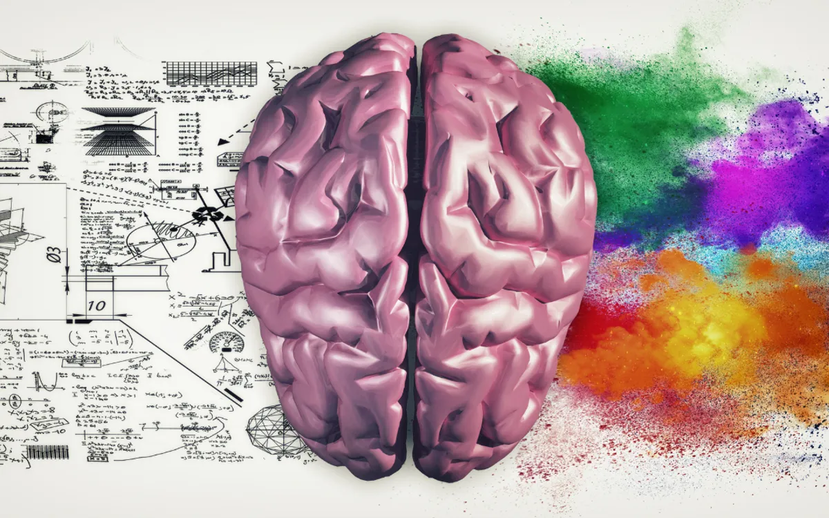 The Difference Between The Left And Right Brain DocVita
